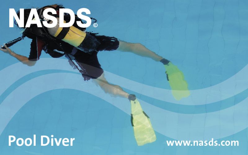 tl_files/newsletter/NASDS_Brevet_Pool Diver.jpg